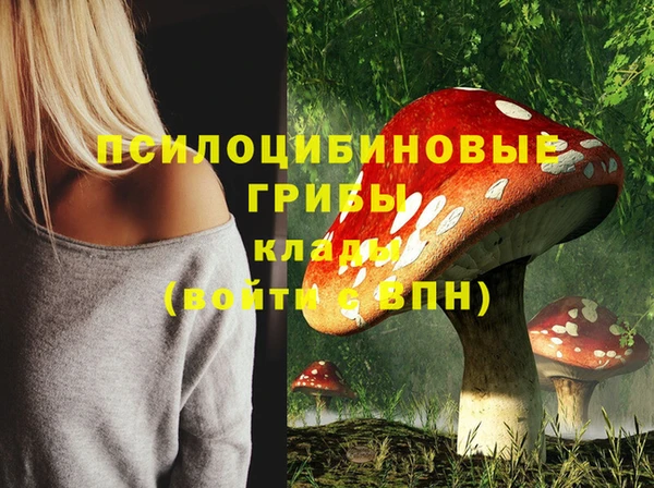 скорость Пестово