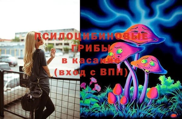 скорость Пестово